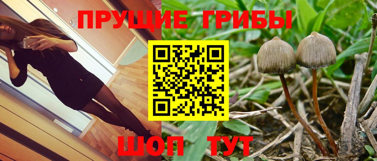 Лыткарино  Галлюциногенные грибы мухоморы  закладки  Вход с VPN 