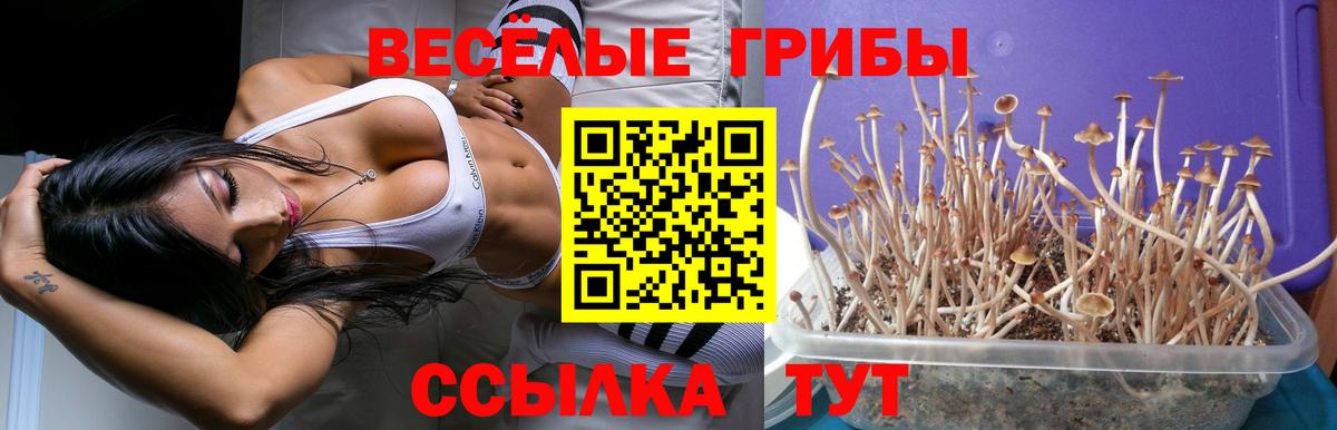 Галлюциногенные грибы ЛСД Лыткарино